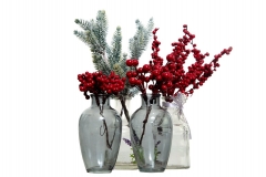 41 Novogodišnje grane